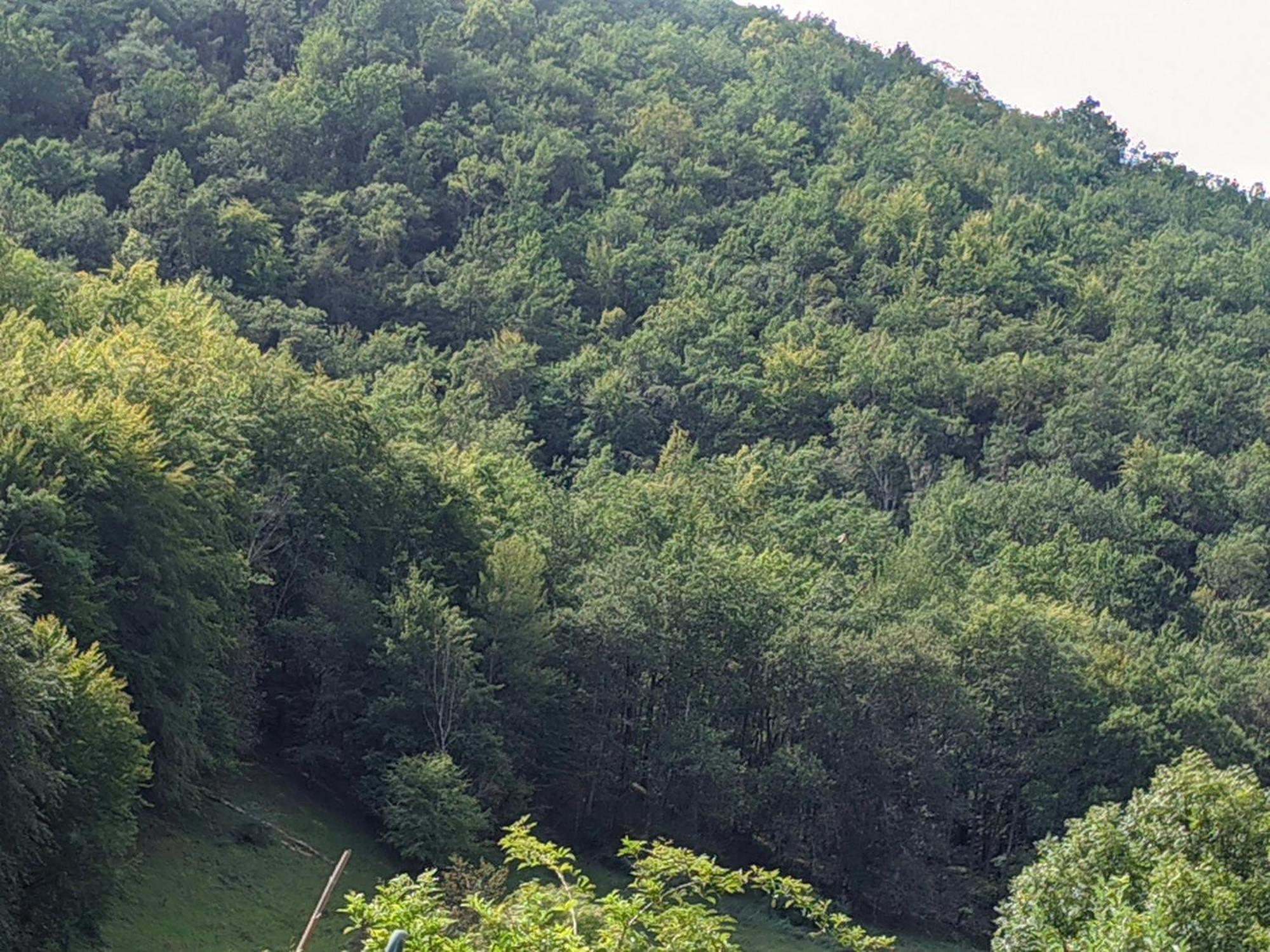 Source Nature Le Mas-d'Azil Exterior photo